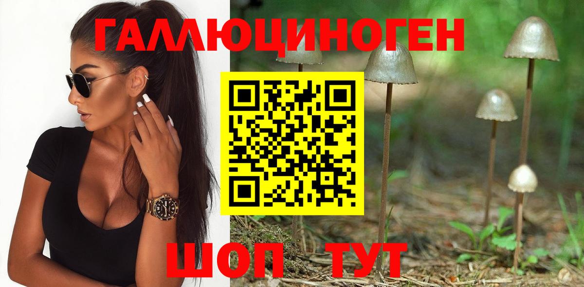 Галлюциногенные грибы Psilocybe  Вход с VPN  где купить   Ангарск 
